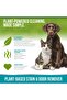 Plant-Based Stain & Odor Remover | Natural Enzymatic Formula | 32 oz - 3