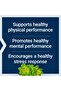 Rhodiola Rosea Extract, 250mg, 60 Caps, Mental & Physical Performance, Gluten-Free, Non-GMO - 4