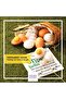Smooth Egg Skin Peeling Gel, 140 ml - 2