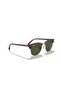 0RB 3016 W0366 51 - 4