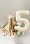 Giraffe Balloon Cream Age Balloon 15 Piece 5 Year Birthday Balloon Set