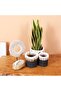 Nevşehir Natural Abaca Set of 3 Flower Pot & Storage Organization - 5