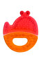 Teether Colorful Water Teethers - 2
