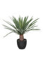 Easy Maintenance Realistic Looking Decorative Artificial Palm Tree with Pot 52cm