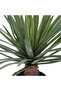 Easy Maintenance Realistic Looking Decorative Artificial Palm Tree with Pot 52cm - 2