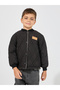 Winter Jacket