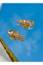 Leaf Form Gold Color Steel Earrings - 3