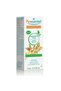 Organic Ginger Essential Oil - Potent Tonic For Physical & Mental Fatigue | 5 Ml - 2
