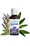 Essential Oils For Diffusion - With Provence Blend | 100% Natural Formula | 30Ml - 2