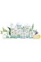 Purifying Antibacterial Lotion Spray Hands & Surfaces - With 3 Essential Oils| 250Ml - 3