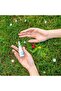 Respiratory Protective Nasal Spray - Allergy Protection | 20Ml - 6