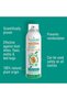 Fleas, Bugs & Moths Treatment Spray | Scientifically Proven For All Fabric Type | 150Ml - 4