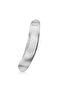 Garlic Press 18x4x2.7cm (Stainless Steel)