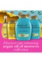 OGX Renewing + Argon Oil Of Morocco Shampoo - 385Ml - 6