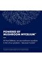 MyCommunity Capsules - 17 Species Mushroom Blend for Immune Support - 120 Capsules (60 Servings) - 6