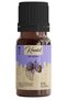 Ready Mix Karadut Kit - Ready Mix Karadut Aroma 10 ml (Compatible with 1 Liter)