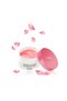 Bulgarian Rose Hydrogel Eye Patch - 2