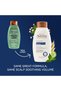 Fresh Greens Blend Natural Volumizing Shampoo, Cucumber, Rosemary, for Fine Hair, 12 fl oz - 2