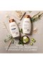 Fresh Greens Blend Natural Volumizing Shampoo, Cucumber, Rosemary, for Fine Hair, 12 fl oz - 5