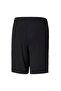 ACTIVE Interlock Shorts B Puma Black