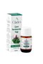 Pine Turpentine Oil 20 ml - Skin Care Oil Pine Turpentine Oil
