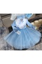 Blue Velvet Dress - 4