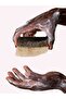 100% Natural Pumpkin Fiber Activated Carbon Soap 130 Gr. (Hand Made) - 2