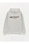 Lcw Casual Gray Long Sleeve Printed Men's Thick Hoodie - 6