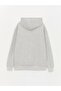 Lcw Casual Gray Long Sleeve Printed Men's Thick Hoodie - 7