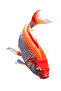 Orange Koi Fish Car, Motorcycle, Helmet, Laptop, Glass Sticker 13X9 cm