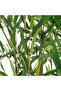 Easy Maintenance Realistic Looking Decorative Artificial Bamboo Plant with Pot 90cm - 2