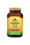 Nutrition Echinacea Herb Extract, 500 Mg - 100 Capsules