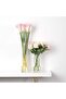 Glass Cylinder Vase (Clear, Width 4in, Height 7.8in) - 5