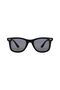 Eoh1010 C1M Matte Black Unisex Sunglasses - 5