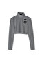 Silvery Crop Blouse - 3