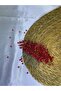 Handmade Crystal Stone Scalloped Red Bridal, Engagement Wedding Promise Hair Accessory Crown - 5