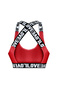 Cotton Love Rubber Removable Covered Women's Sports Bustier 2 Pcs - 3