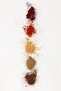 PHYTO COLOR 5 LIGHT CHESTNUT - 3
