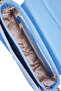 Blue Women's Shoulder Bag 05Po25Y2008 - 5