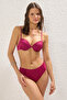 Mürdüm Drapeli Hipster Normal Bel Bikini Altı TBESS24BA00139
