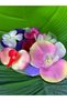 Colorful Flowers Flower Garden Armature Thread Applique 16X13 cm - 4
