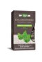 Chlorofresh Liquid Chlorophyll Drops, Mint Flavor, Internal Deodorant, Detox Support, 2 Fl. Oz.