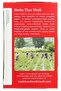 Organic Elderflower Spice Herbal Tea, Warm & Comforting, 16 Tea Bags - 6