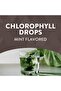 Chlorofresh Liquid Chlorophyll Drops, Mint Flavor, Internal Deodorant, Detox Support, 2 Fl. Oz. - 2