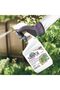 Captain Jack's Neem Oil, 32 oz RTU Spray, Organic Fungicide, Insecticide, Miticide - 2
