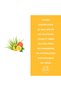 Aloe & Citrus All Hairs Unisex Shampoo, 500ml - 3