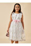 Embroidered Ruffle Detail Mesh Dress with Belt - 3