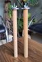 Natural Wood Perch and Pedicure Perch Set for Parrots – Health and Comfort in One |   25 cm - 18 mm - 5