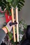 Natural Wooden Perch and Pedicure Perch Set for Venty Parrots 35 cm - Ø 18 mm - Sandy Perch - 7