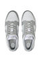 Dunk Low Next Nature - DD1873-113 - 3